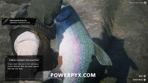 how to fish rdr2|rdr2 fish compendium.